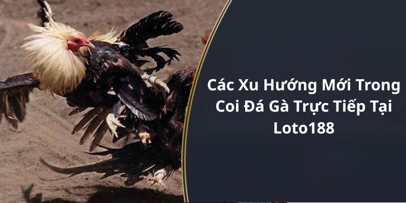Các Xu Hướng Mới Trong Coi đá gà trực tiếp hôm nay Tại Loto188