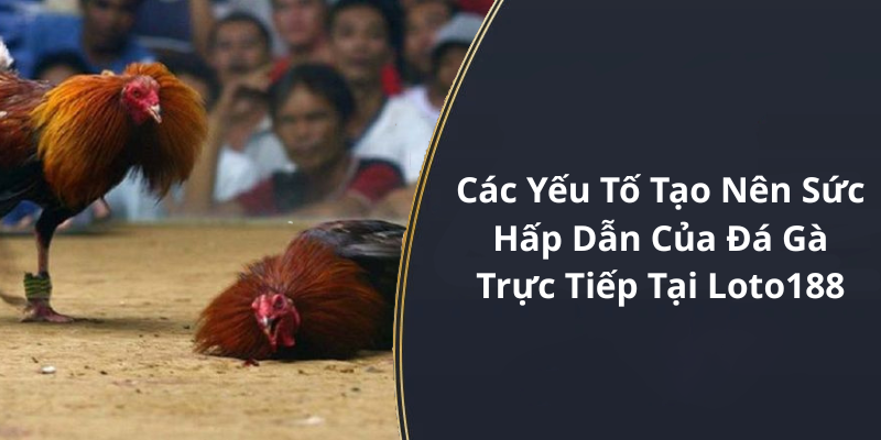 Các Yếu Tố Tạo Nên Sức Hấp Dẫn Của Đá Gà Trực Tiếp Tại Loto188