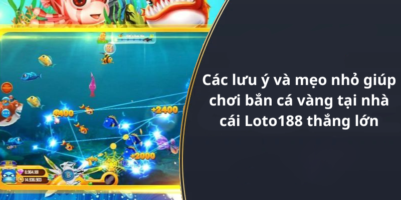 Các lưu ý và mẹo nhỏ giúp chơi bắn cá vàng tại nhà cái Loto188 thắng lớn