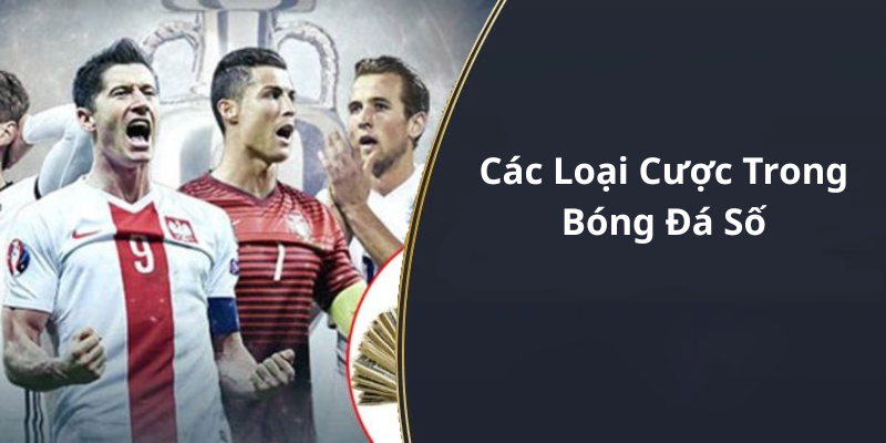 Các Loại Cược Trong Bóng Đá Số