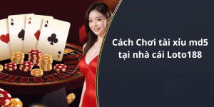 Cách Chơi tài xỉu md5 tại nhà cái Loto188