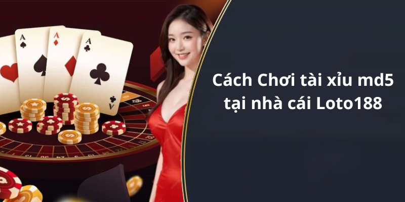 Cách Chơi tài xỉu md5 tại nhà cái Loto188