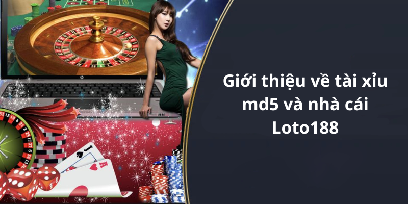 Giới thiệu về tài xỉu md5 và nhà cái Loto188