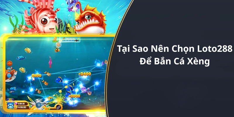 Tại Sao Nên Chọn Loto288 Để Bắn Cá Xèng