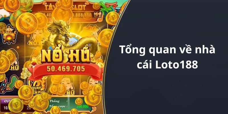 Tổng quan về nhà cái Loto188